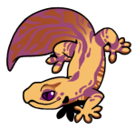 10022-Gecko-1-2-02-03173-02148-111.png