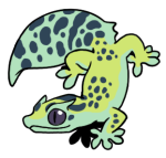 10048-Gecko-2-1-73-10059-09093-072.png