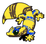 1009-Gecko-2-1-54-07104-06141-049.png