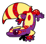 10103-Gecko-2-2-08-08152-07107-027.png