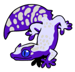10148-Gecko-2-1-75-10003-09007-039.png