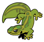10267-Gecko-1-1-96-09098-08087-096.png