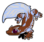 10293-Gecko-2-2-08-03055-02005-147.png