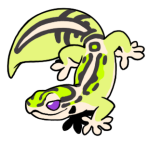 1052-Gecko-1-1-72-09014-08092-002.png