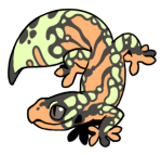 10686-Gecko-1-4-11-04018-03094-118.png