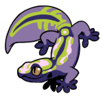10696-Gecko-1-4-10-09095-08176-041.png