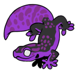 10705-Gecko-1-3-91-10027-09020-036.png