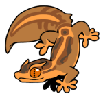 10985-Gecko-2-2-22-09144-08141-117.png