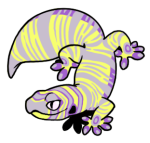 11100-Gecko-1-2-05-05008-04034-106.png