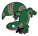 11192-Gecko-1-3-79-07078-06136-079.png
