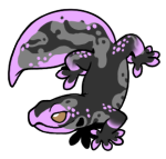 1125-Gecko-1-1-10-06175-05011-020.png