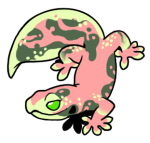 1131-Gecko-1-1-87-06094-05083-166.png