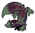 11682-Gecko-2-2-12-02085-01172-024.png