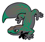 11688-Gecko-1-2-11-01075-01135-016.png