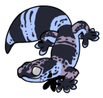 11721-Gecko-1-3-92-07023-06055-030.png