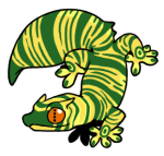 11851-Gecko-2-2-22-05079-04106-105.png