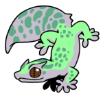 12029-Gecko-2-2-09-10074-09089-008.png