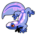 12034-Gecko-1-2-23-09175-08004-051.png