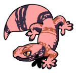 12044-Gecko-1-2-14-07166-06024-127.png