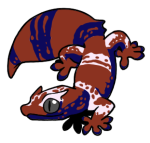 12045-Gecko-2-1-95-07149-06046-177.png