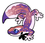 12049-Gecko-1-4-30-01038-01165-177.png