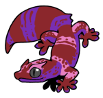 12051-Gecko-2-1-95-07159-06037-174.png