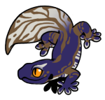 12053-Gecko-1-4-18-03142-02003-041.png