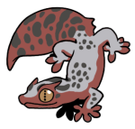 12054-Gecko-2-2-10-10018-09009-164.png
