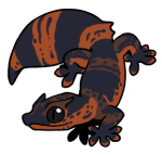 12055-Gecko-2-1-97-07023-06148-139.png