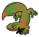 12060-Gecko-1-2-13-01120-01087-086.png