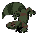 12065-Gecko-1-2-15-07082-06081-139.png