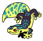 12069-Gecko-1-2-20-10069-09024-106.png