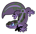 12070-Gecko-1-4-29-09083-08019-033.png