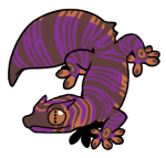 12071-Gecko-2-2-26-05138-04128-027.png