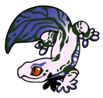 12073-Gecko-1-4-20-03080-02044-177.png