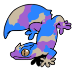 12074-Gecko-2-2-10-11052-10131-034.png