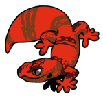 12078-Gecko-1-2-15-07151-06147-157.png