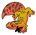 12079-Gecko-1-2-20-10138-09103-125.png