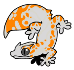 12080-Gecko-2-1-95-04003-03116-005.png