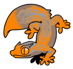 12081-Gecko-2-2-18-02116-01010-136.png