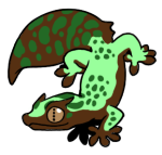 12091-Gecko-2-2-10-10079-09089-146.png