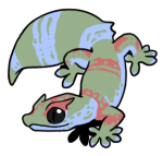 12097-Gecko-2-1-97-07084-06055-165.png