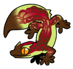 12098-Gecko-2-2-18-02146-01153-093.png