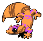 12099-Gecko-2-1-97-07117-06144-035.png