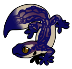 12100-Gecko-1-4-43-02046-01025-131.png