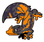 12101-Gecko-2-1-95-04017-03024-116.png