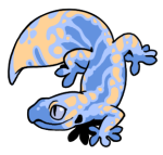 12103-Gecko-1-4-33-04055-03110-053.png
