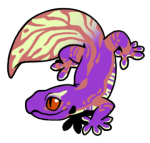 12104-Gecko-1-4-20-03165-02094-036.png
