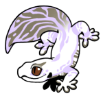 12109-Gecko-1-4-21-03031-02132-004.png
