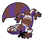 12110-Gecko-1-3-93-07137-06038-006.png